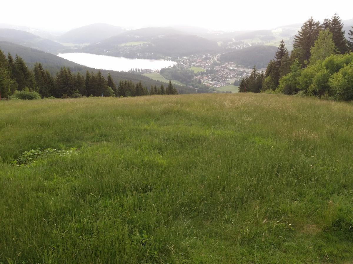 Schwarzwald - Villa Appartments Titisee Exteriér fotografie